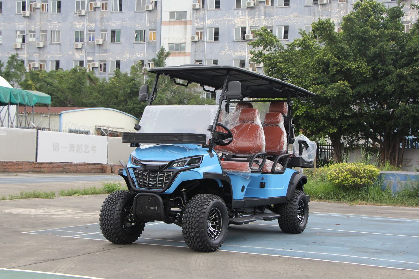 Carro eléctrico personalizado